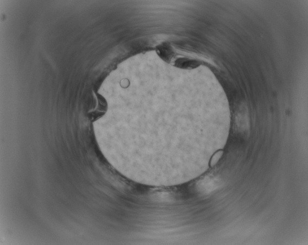 X0000067390620200604281844