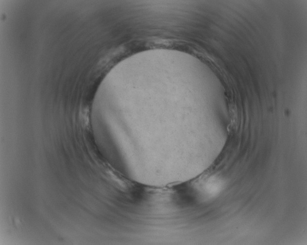 X0000067390621200604281844