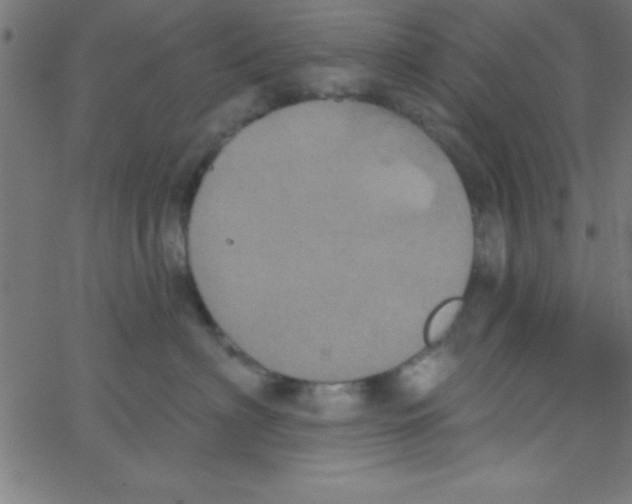 X0000067390622200604281844