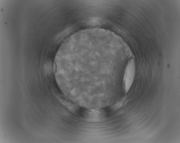 X0000067390623200604281844