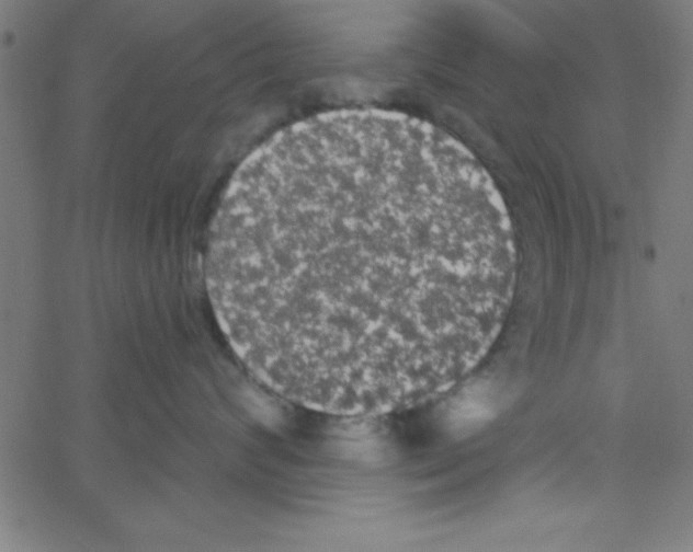 X0000067390624200604281844