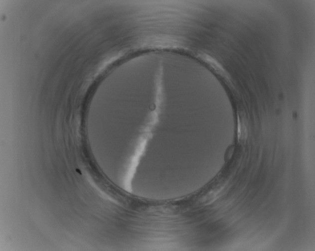 X0000067390627200604281843