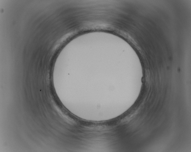 X0000067390629200604281843