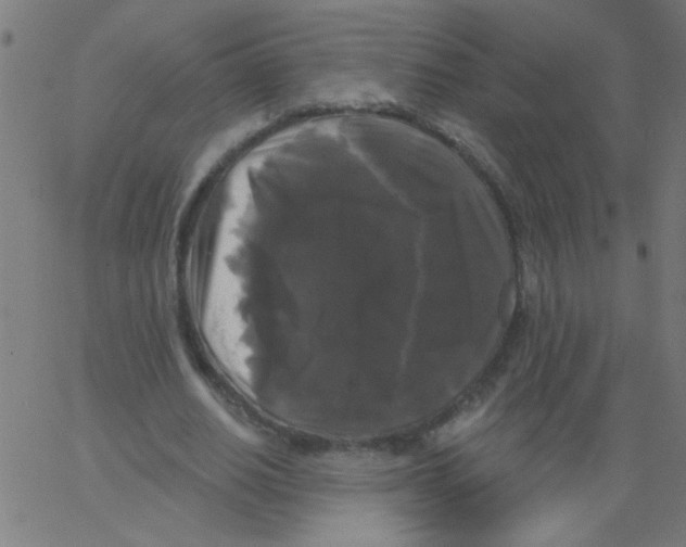 X0000067390630200604281843