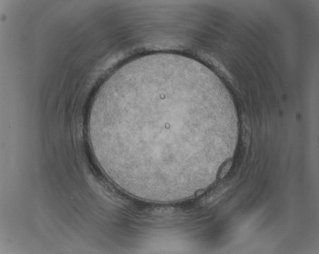 X0000067390631200604281843