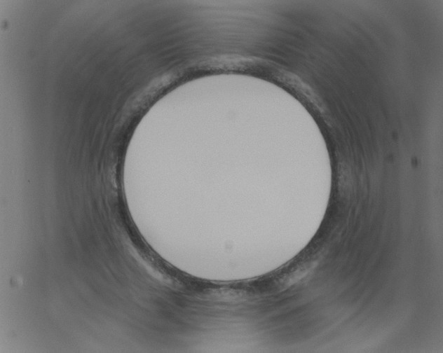 X0000067390633200604281843