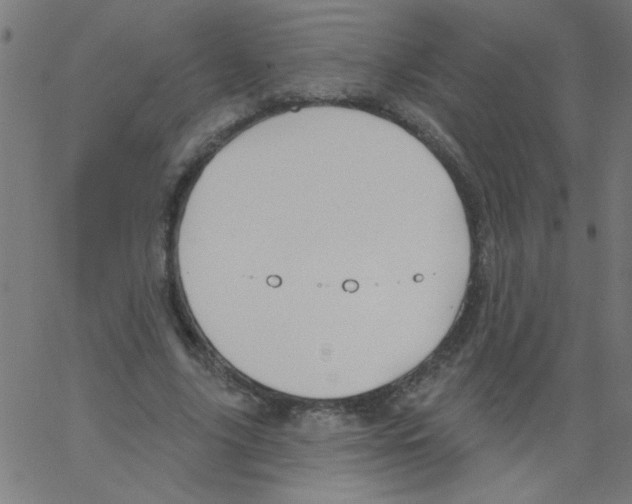 X0000067390635200604281843