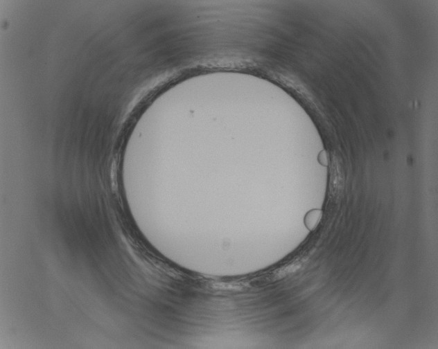 X0000067390636200604281843