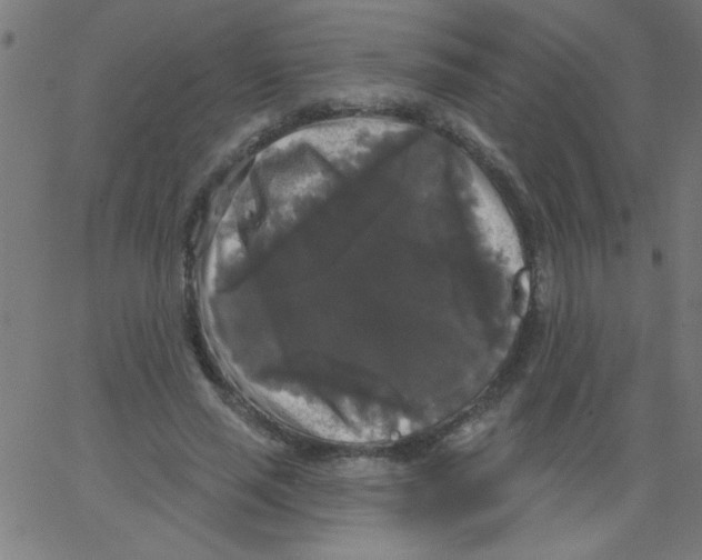 X0000067390637200604281843