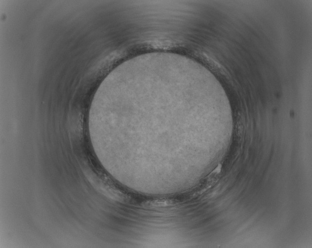 X0000067390639200604281843