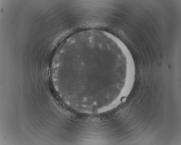 X0000067390640200604281843