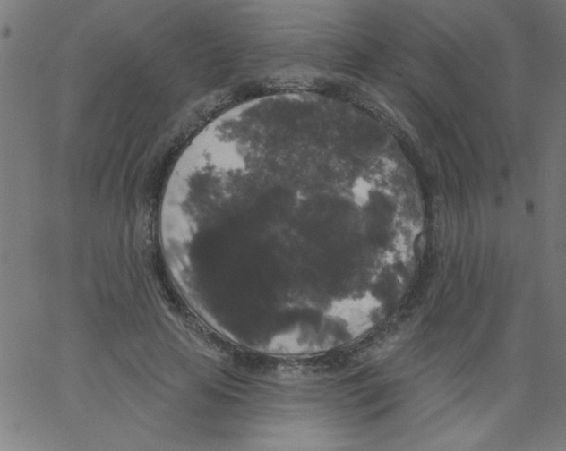 X0000067390641200604281843