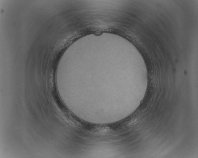 X0000067390642200604281843