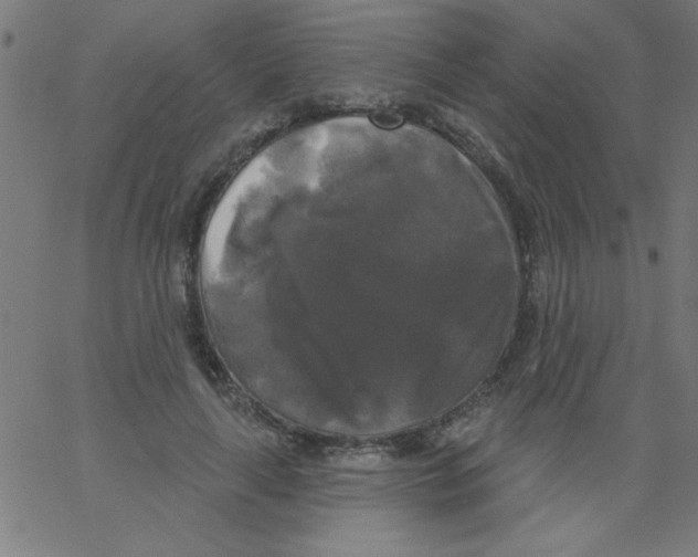 X0000067390643200604281843