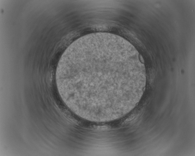 X0000067390645200604281843