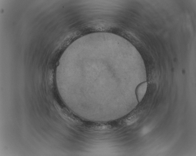 X0000067390646200604281843