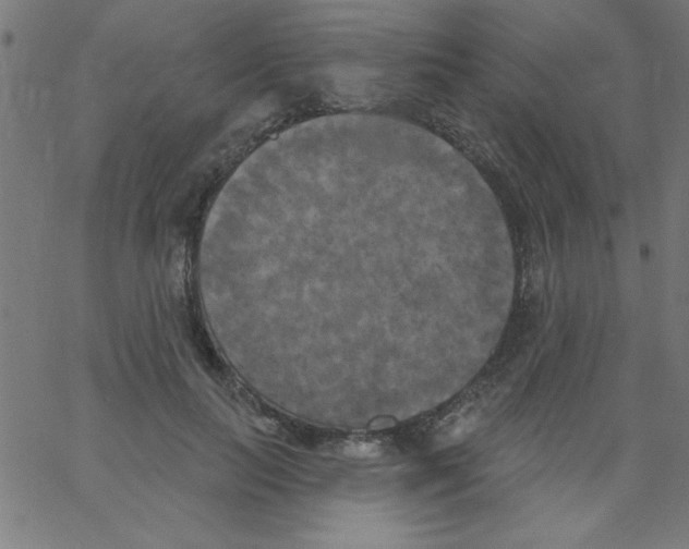 X0000067390647200604281843