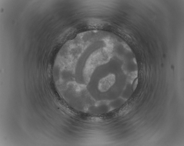 X0000067390649200604281843