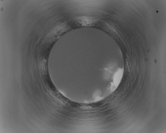 X0000067390650200604281843