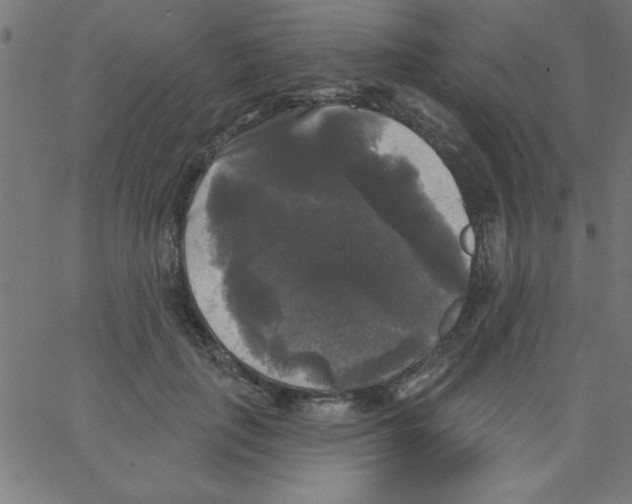 X0000067390651200604281843