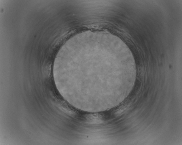 X0000067390652200604281843