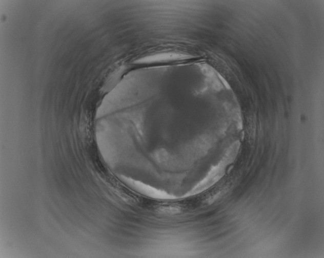 X0000067390653200604281843