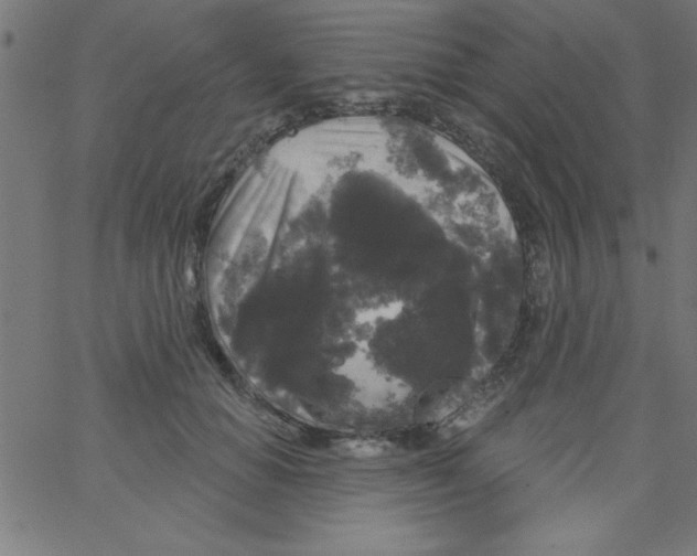 X0000067390654200604281843