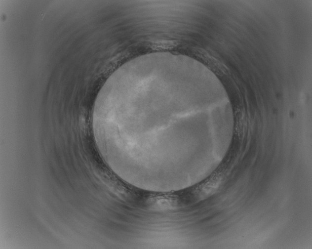 X0000067390655200604281843