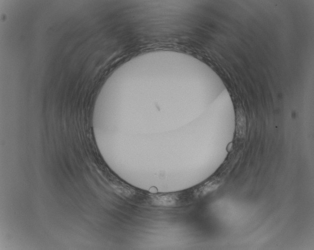 X0000067390656200604281843