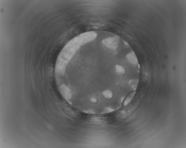 X0000067390657200604281843