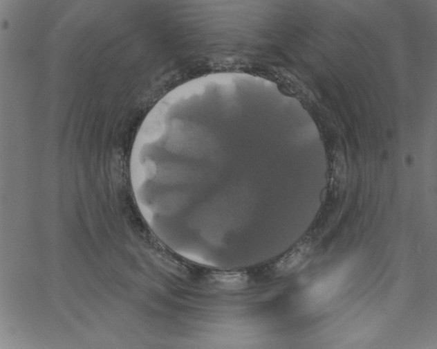 X0000067390659200604281843