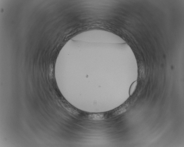 X0000067390660200604281843