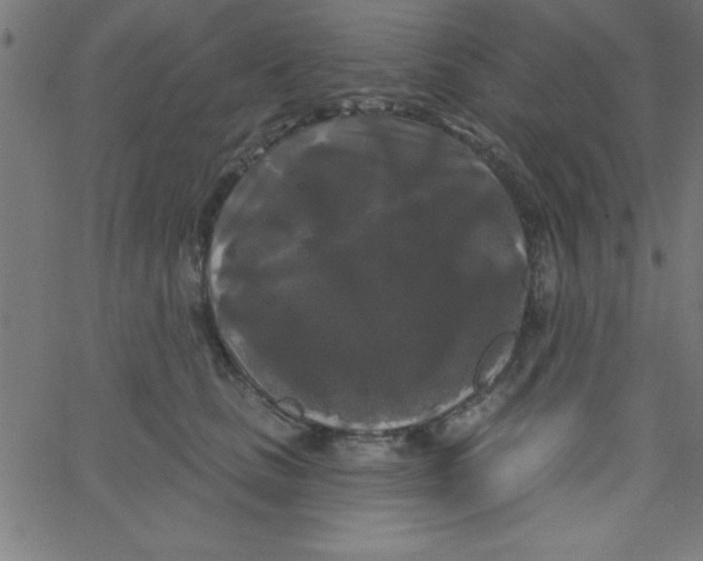 X0000067390661200604281843