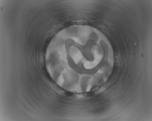 X0000067390662200604281843