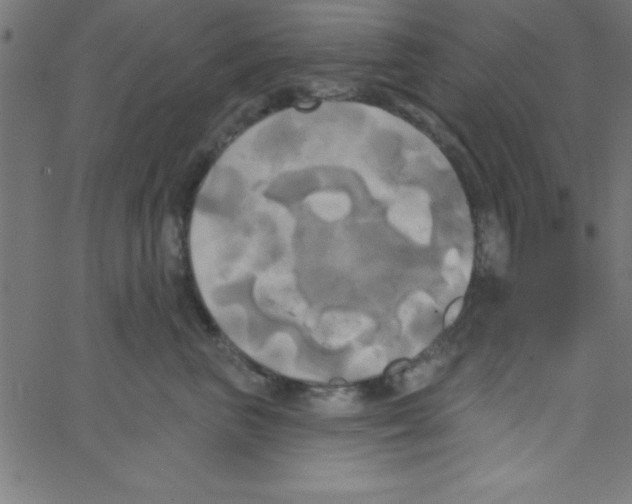 X0000067390667200604281844