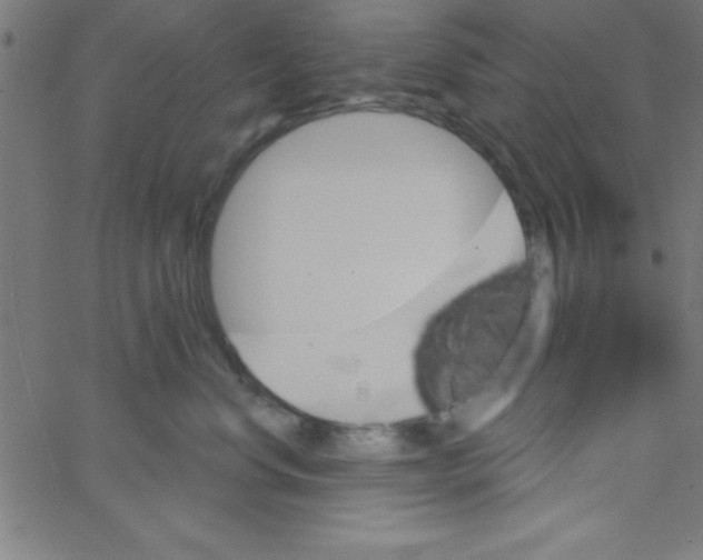 X0000067390668200604281844