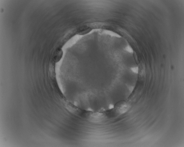 X0000067390669200604281844