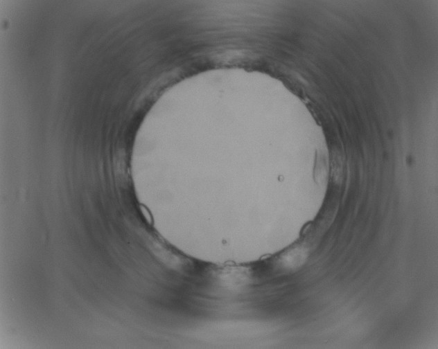 X0000067390670200604281844