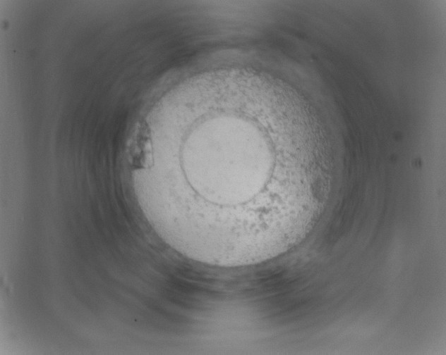 X0000067390672200604281844