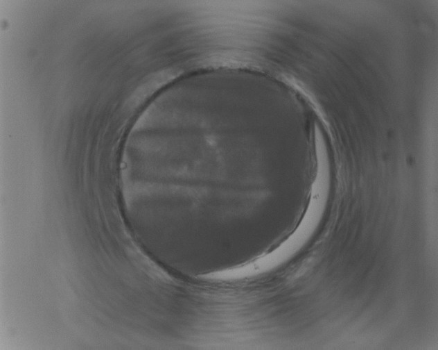 X0000067390673200604281843