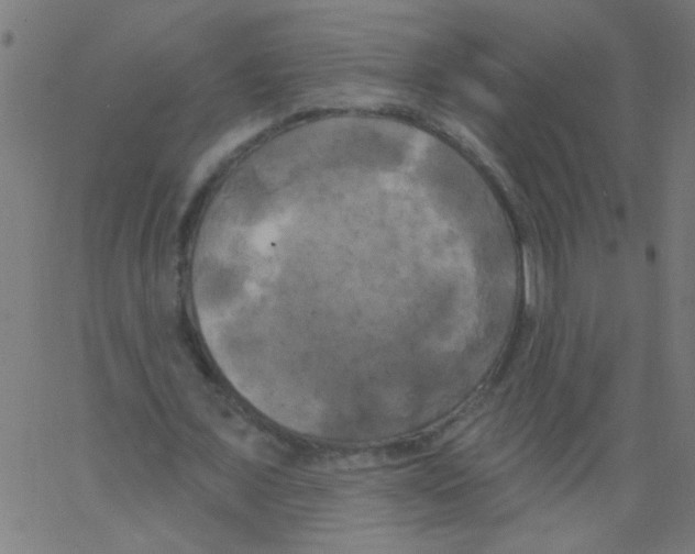 X0000067390675200604281843