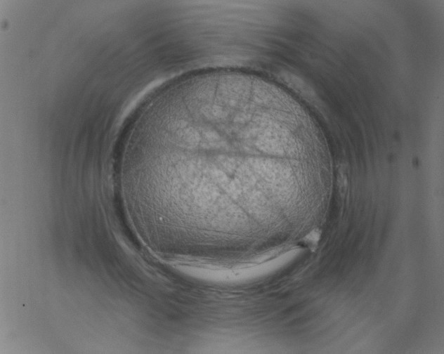 X0000067390676200604281843