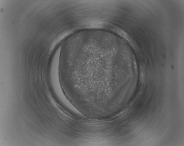 X0000067390677200604281843