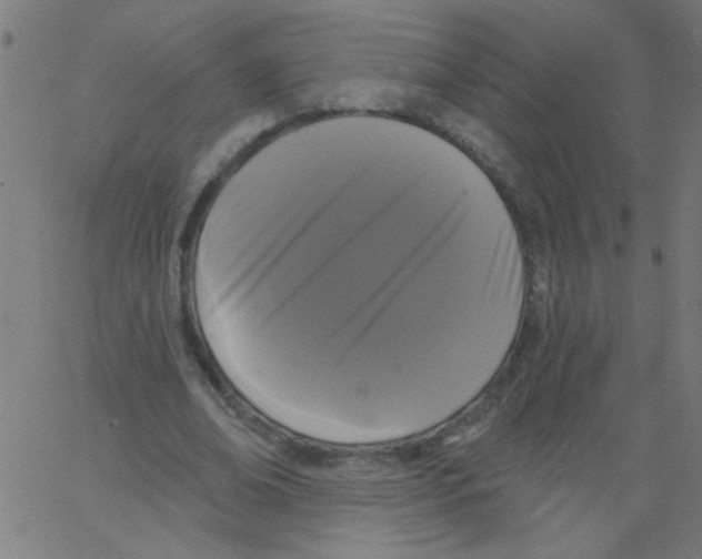 X0000067390678200604281843