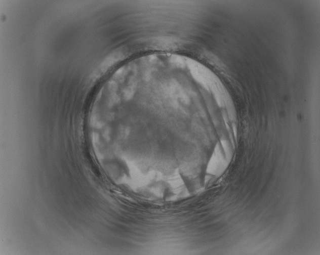 X0000067390679200604281843