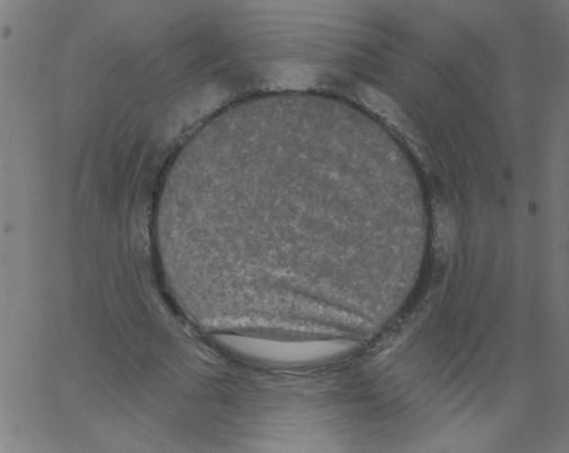 X0000067390681200604281843