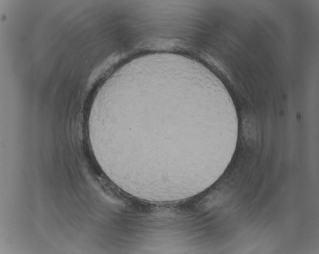 X0000067390682200604281843