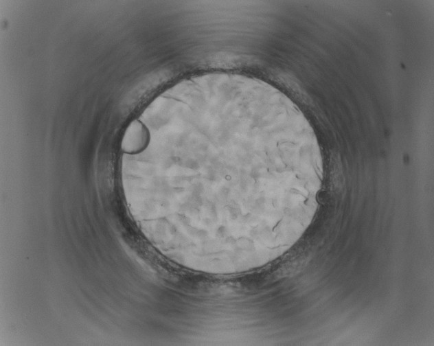 X0000067390683200604281843