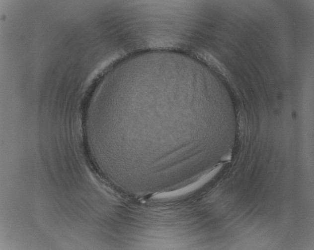 X0000067390684200604281843