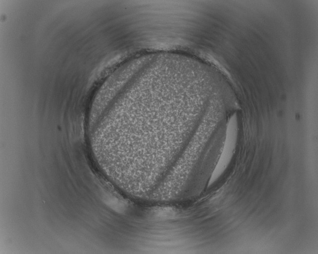 X0000067390685200604281843